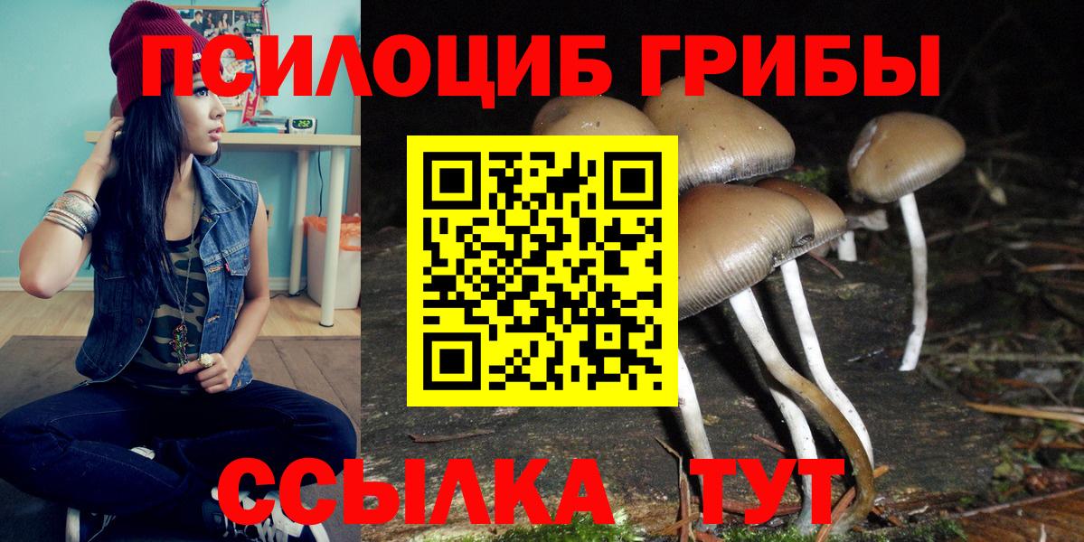 Канск  Галлюциногенные грибы мухоморы  закладки  Вход с VPN  Галлюциногенные грибы прущие грибы 
